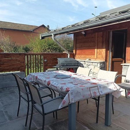 Joli Appart Terrasse Et Jardinet 阿尔贝维尔 外观 照片